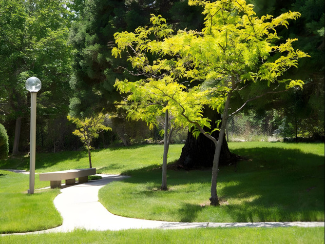 Club Lakeridge Resort