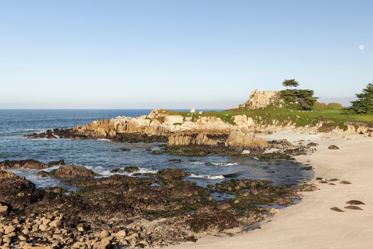 InterContinental The Clement Monterey photo 28