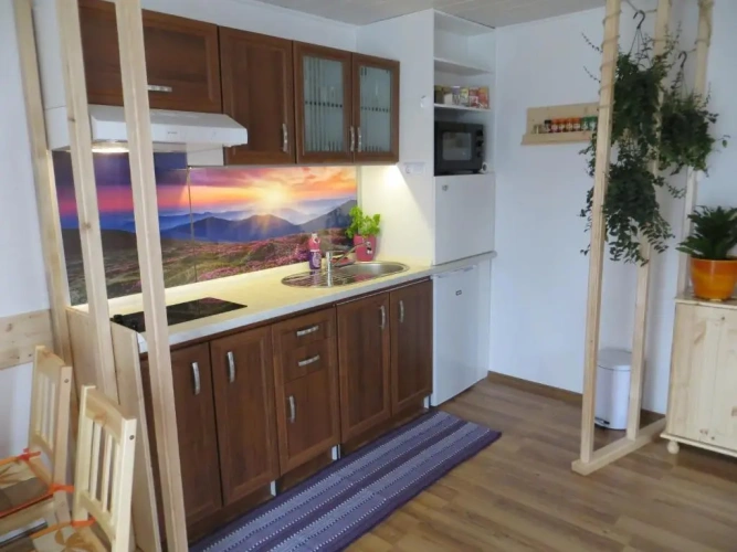 Studio with balcony and with view