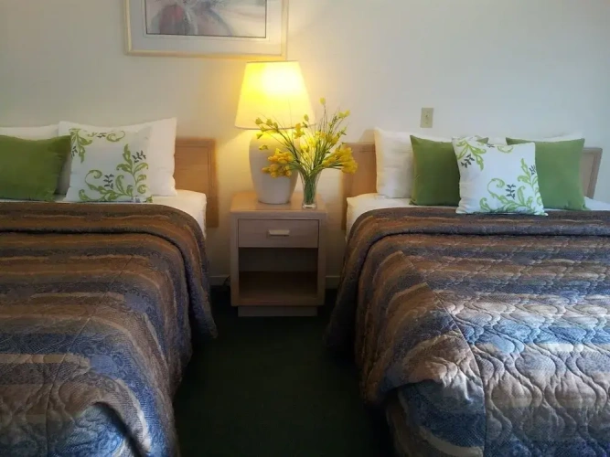 Standard Family room