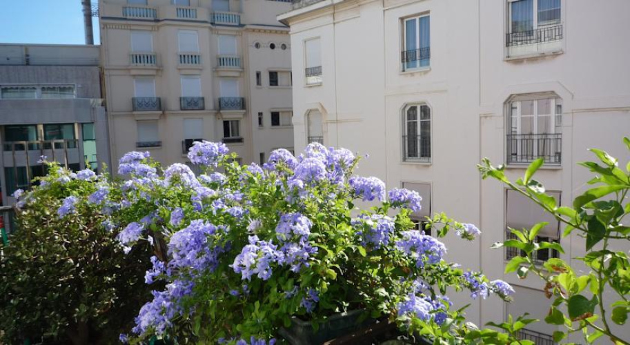 Medicis