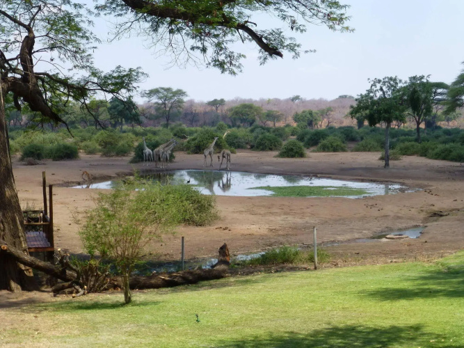 Elephant Valley Lodge