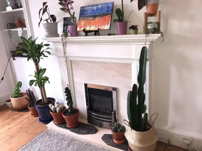 Cosy 2 Bedroom Flat in Edinburgh