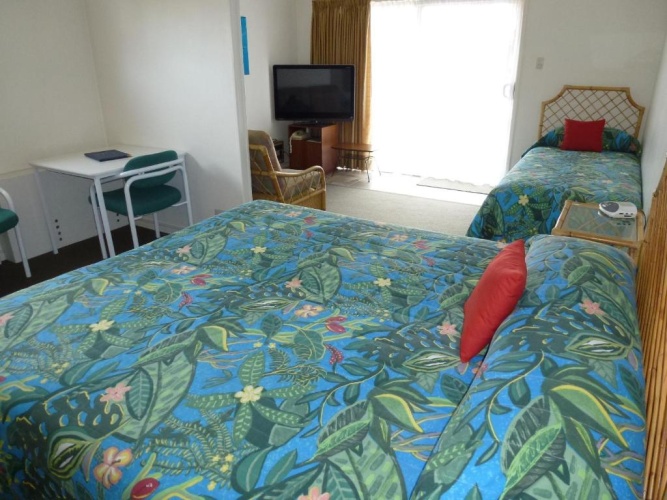 Standard Twin room with street view