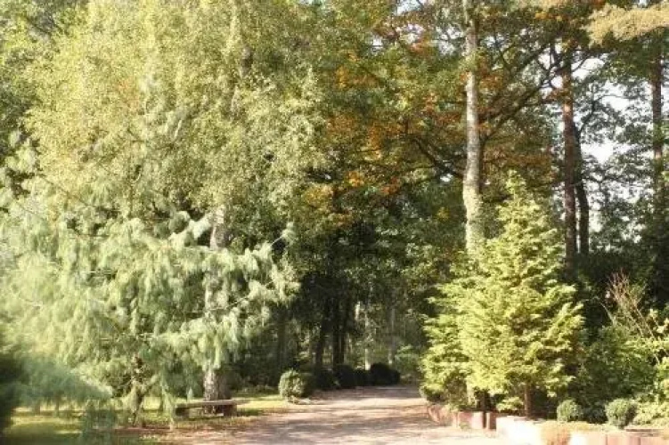 Waldschlösschen
