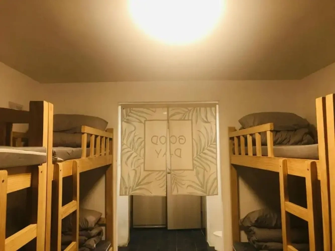 Bed in Dorm