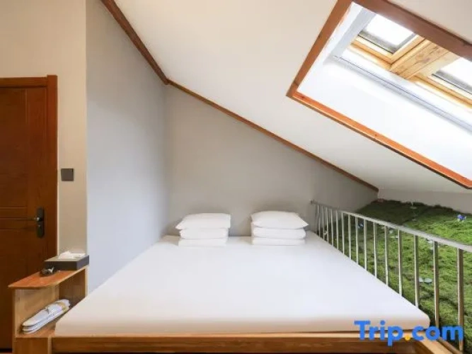Standard Double Suite