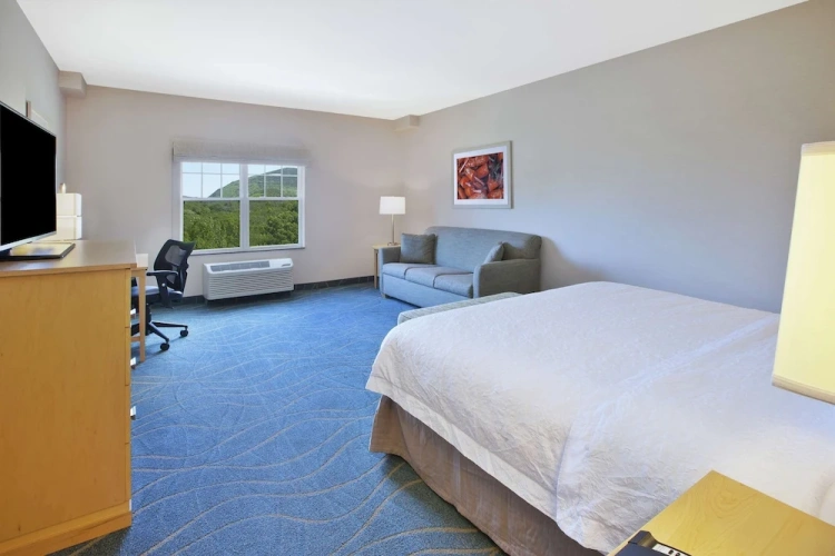 Standard Double room with mountain view