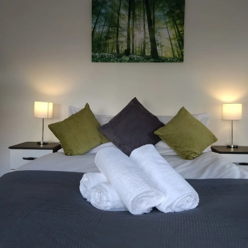 Deluxe Apartment