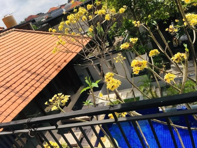 1 Bedroom Deluxe room with garden view