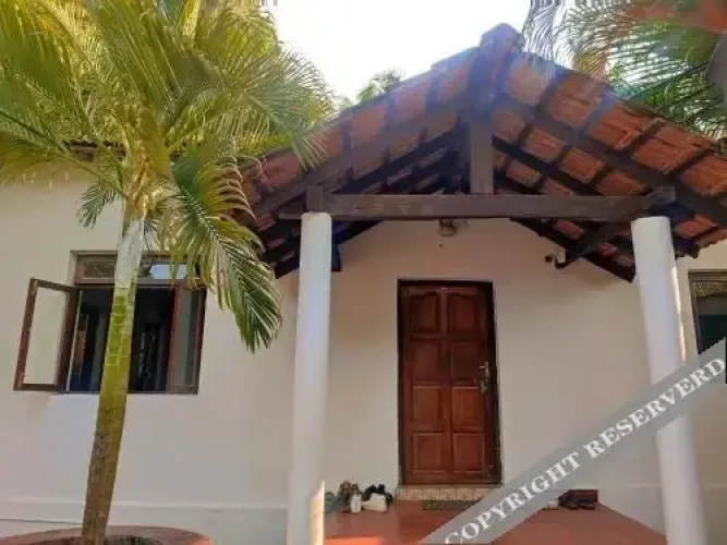 The Funky Monkey Hostel