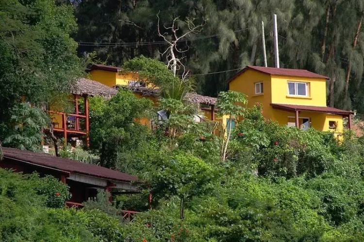 Lavasoa