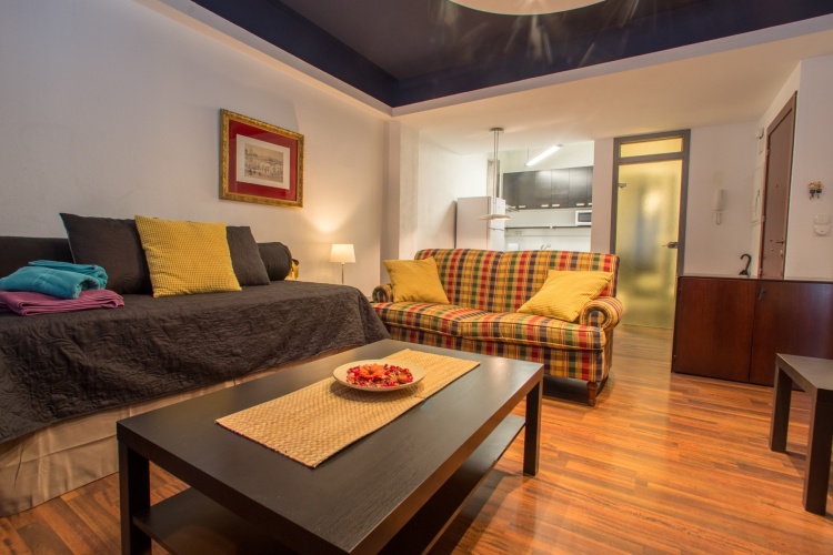 1 Bedroom Apartment