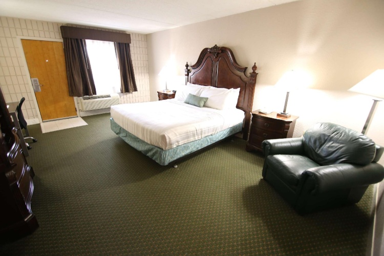 Standard Double room with pool view