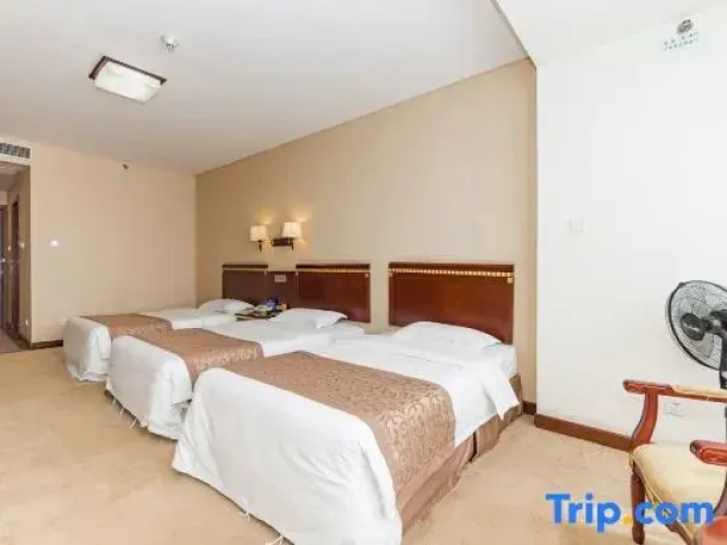 Deluxe Triple room
