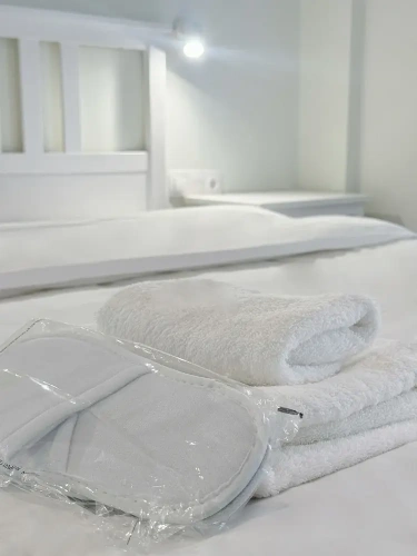 Luxury Apartment