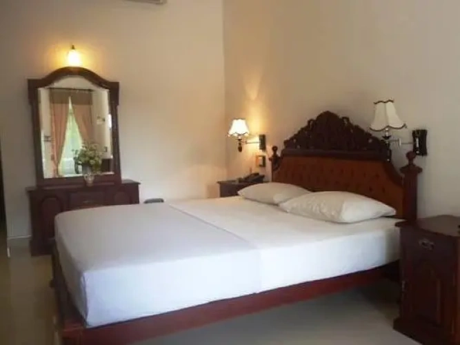 Deluxe Double room with balcony and with view