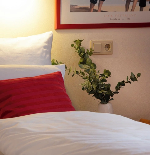 Comfort Double room with balcony and with city view