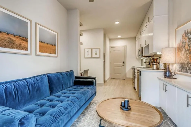 1 Bedroom Apartment