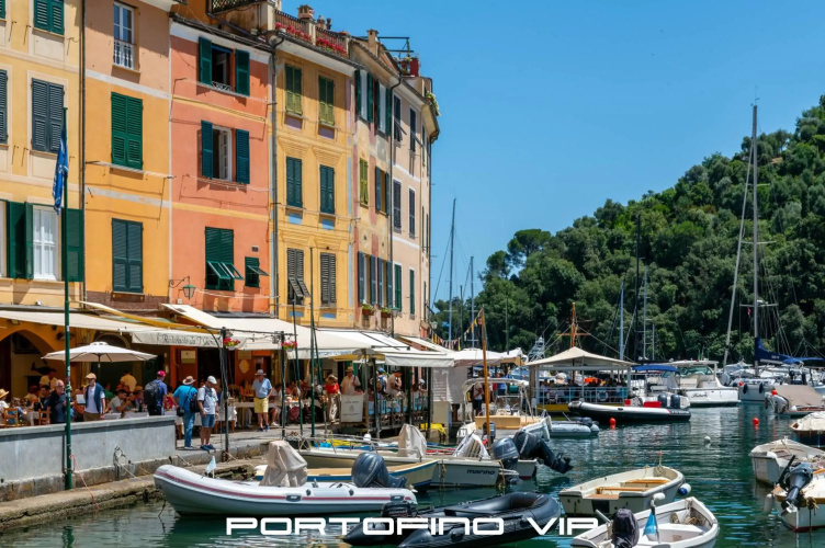 Your Window on Portofino