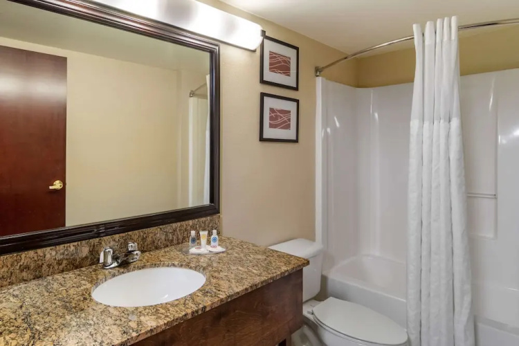 Comfort Suites Suwanee