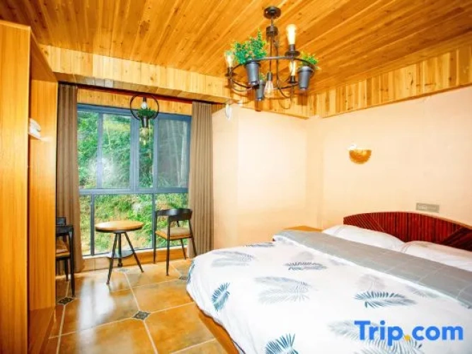 Standard Double room with view