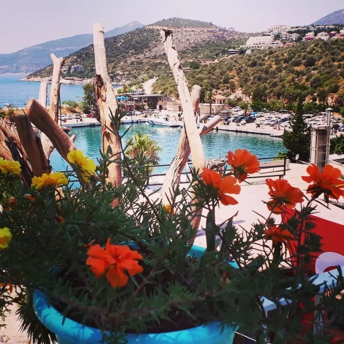 Standard room with balcony and with partial sea view