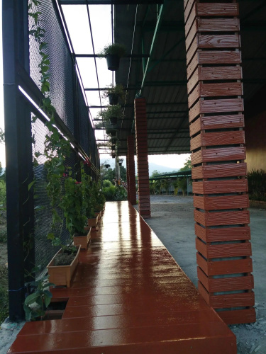 Duangdara Guesthouse