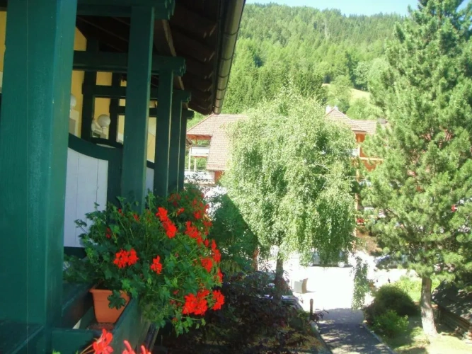 Standard Single room with balcony and with view