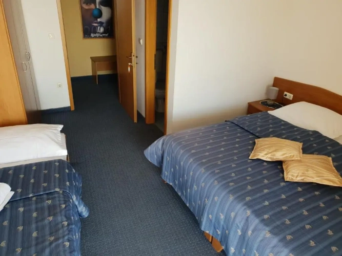 Standard Double room with balcony and with sea view
