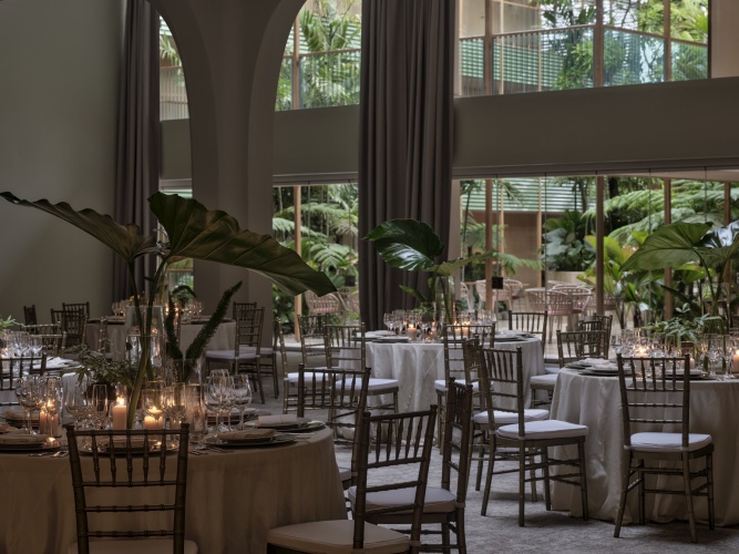 Kimpton Las Mercedes, an IHG Hotel photo 27
