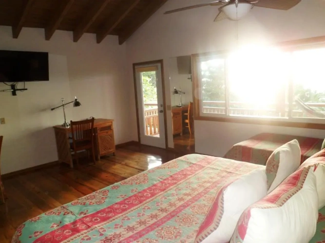 Deluxe Studio with balcony and oceanfront
