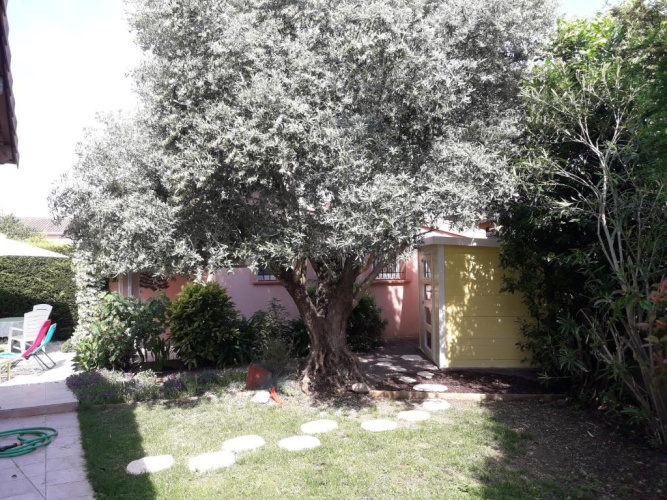 1 Bedroom Cottage