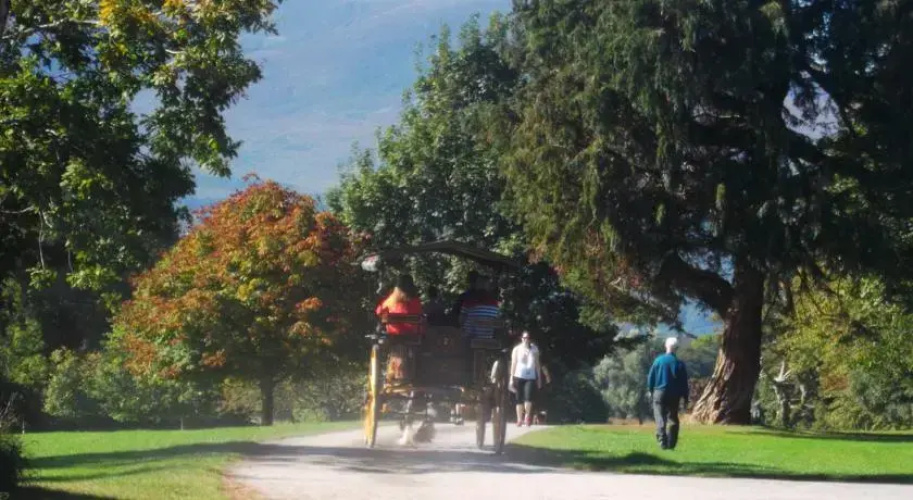No 20 Killarney Holiday Village