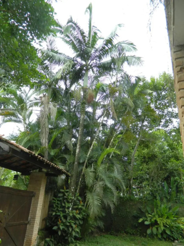 Solar Das Canoas