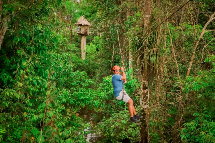 Jungle Explorer Lodge