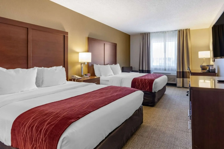 Standard Quadruple room