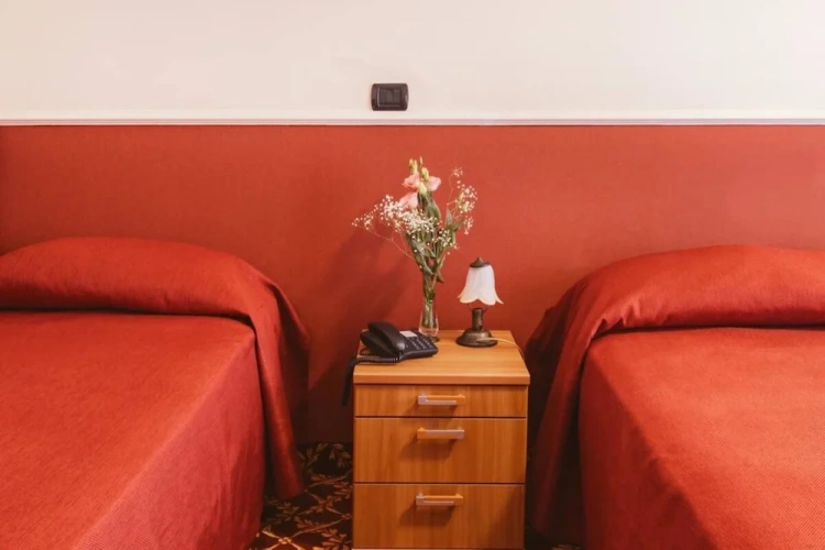 Standard Twin room with balcony and with view