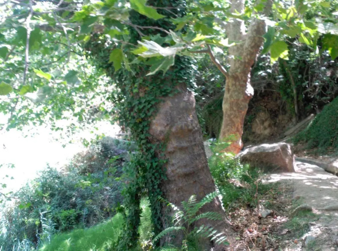 La Casita del Río