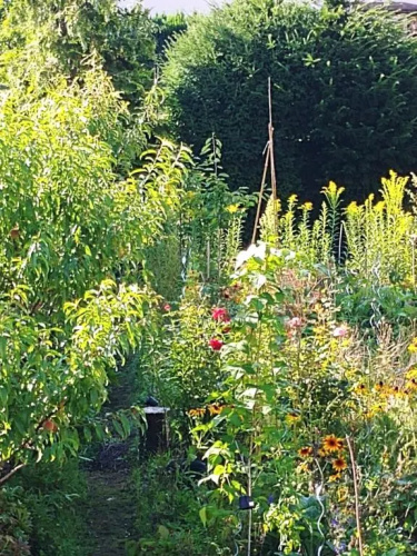 Au jardin de la Maison des Soeurs