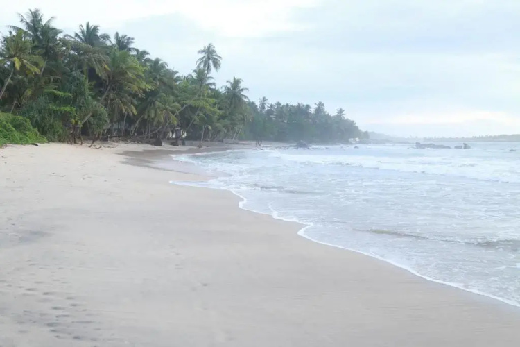 Serene Beach Hotel