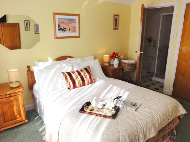 Standard Double room with garden view