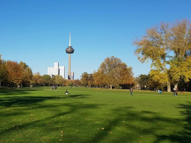 Uitzicht Over Dromerig Keulen