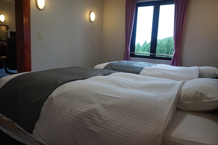 Comfort Twin room