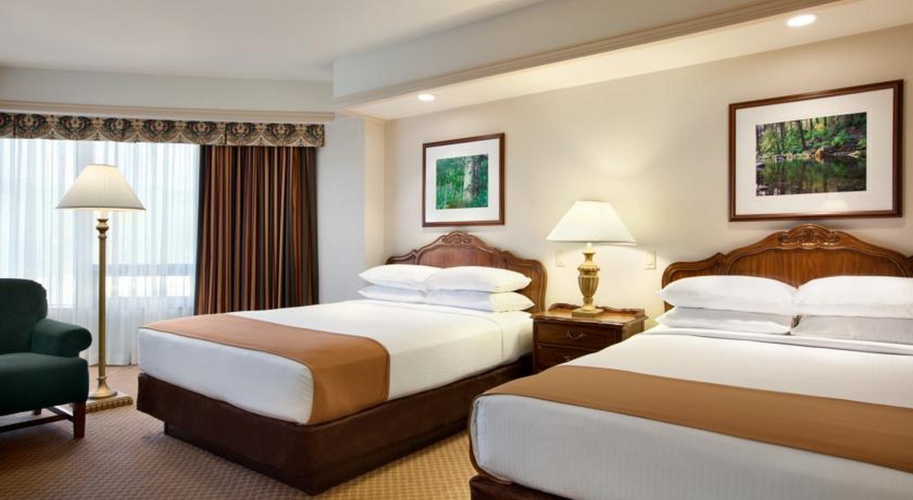 Premium Quadruple room