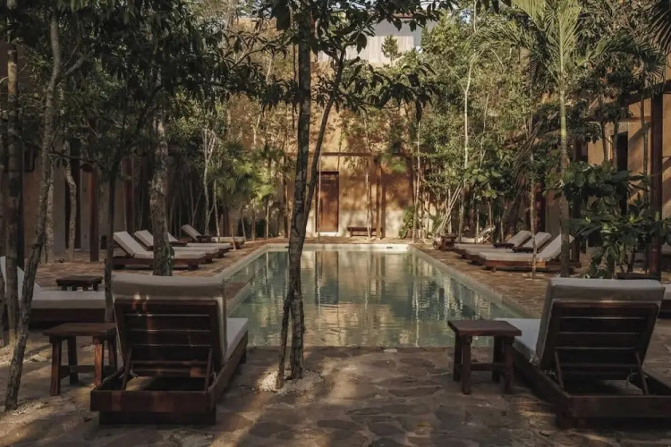 Villa Serenidad Garden Terrace Rooftop Pool