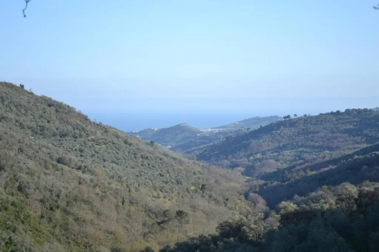 Casa Rossana