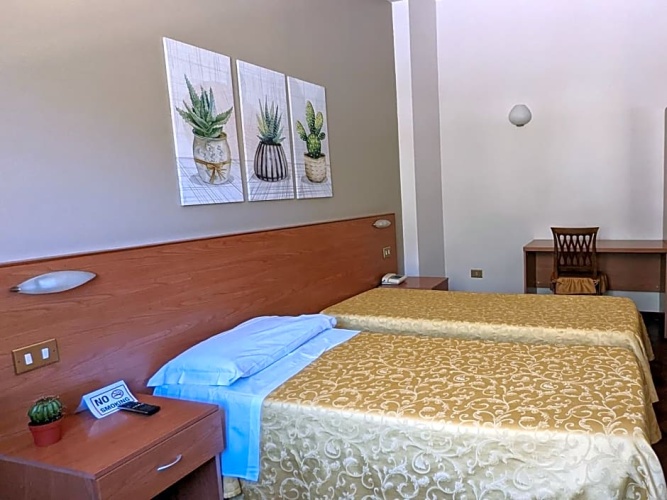 Standard Single room
