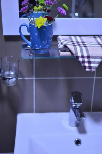 Zaya Guest House