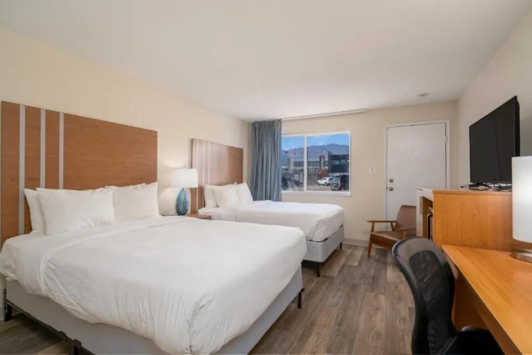 Standard Double room
